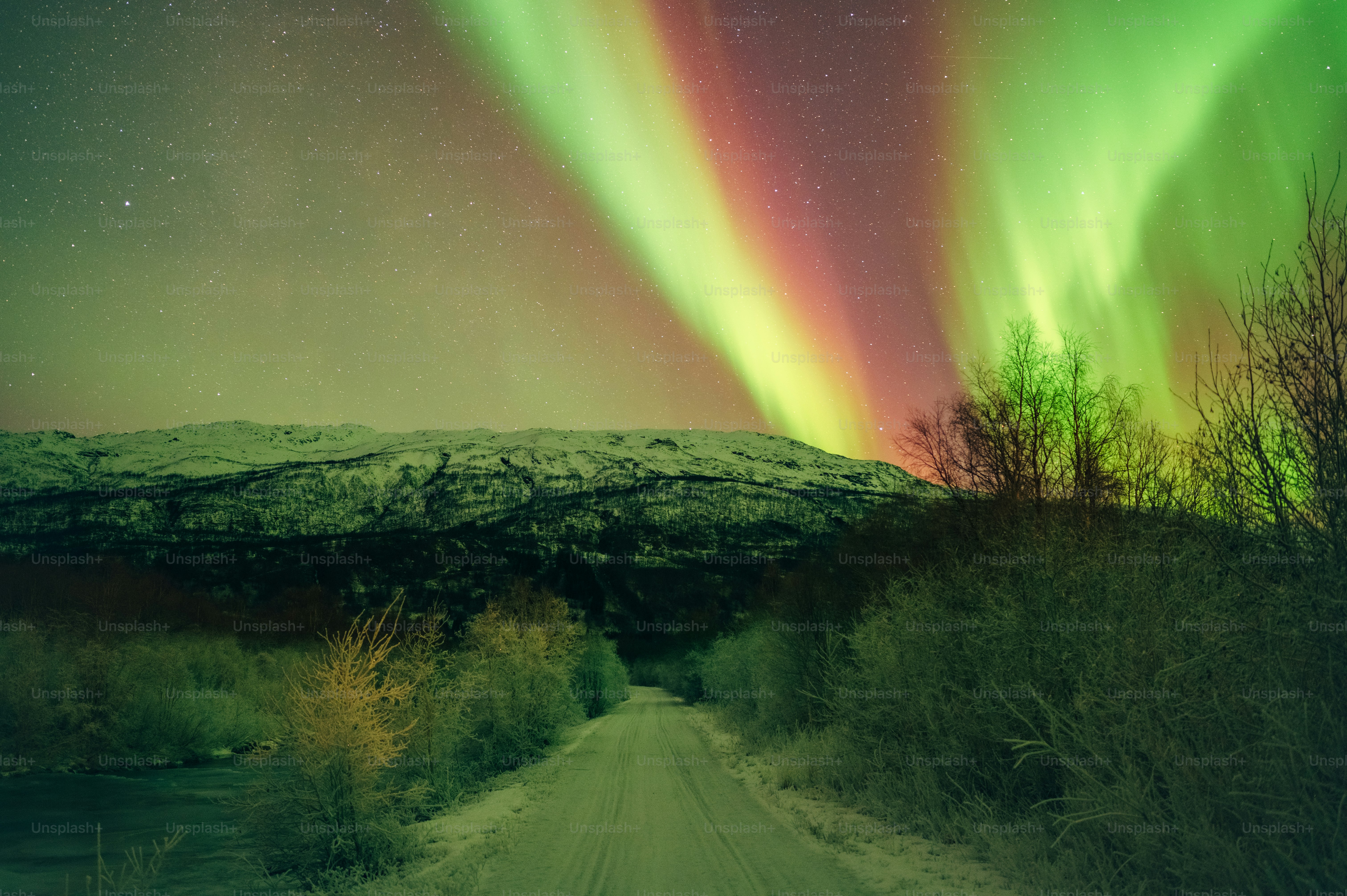 a green and red aurora over a dirt road