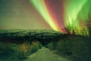 a green and red aurora over a dirt road