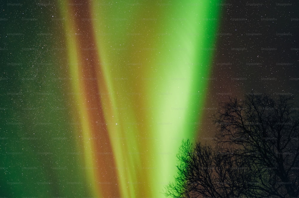a green and yellow aurora bore in the night sky