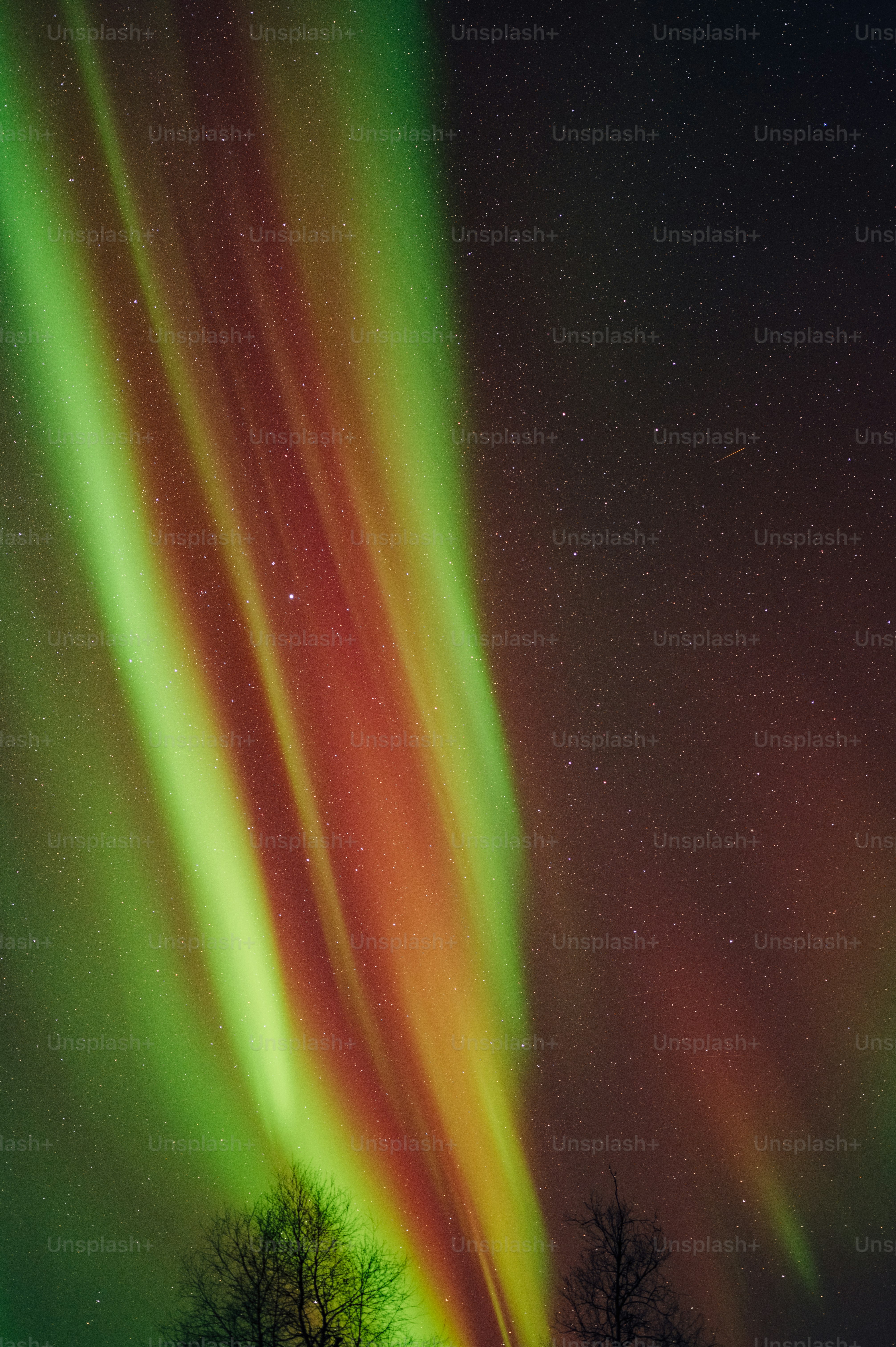 a green and red aurora bore in the night sky