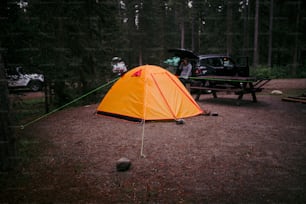 ピクニックテーブルの隣の森の�中に張られたテント