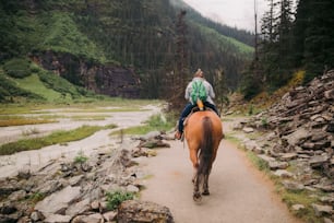 a person riding a horse on a trail