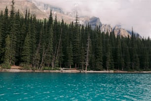 un cuerpo de agua rodeado de árboles y montañas