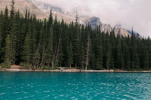 a body of water surrounded by trees and mountains