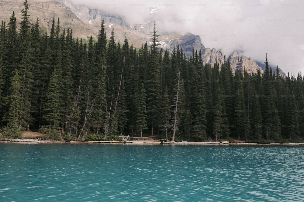 a body of water surrounded by trees and mountains