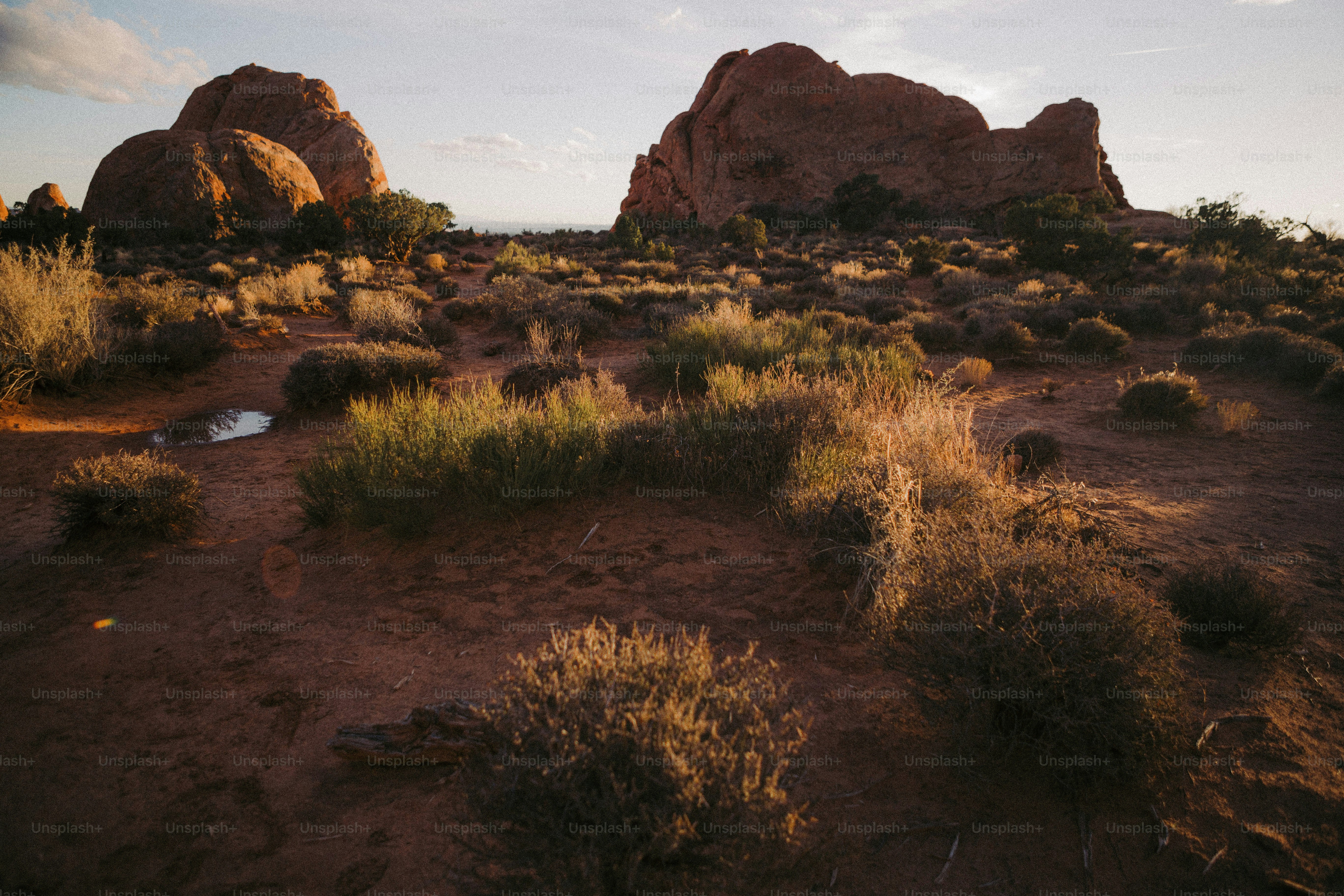 岩を背景にした未舗装のフィールド