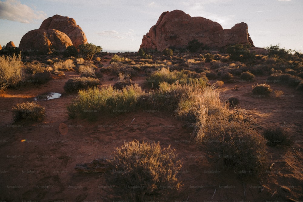 Un campo de tierra con rocas en el fondo