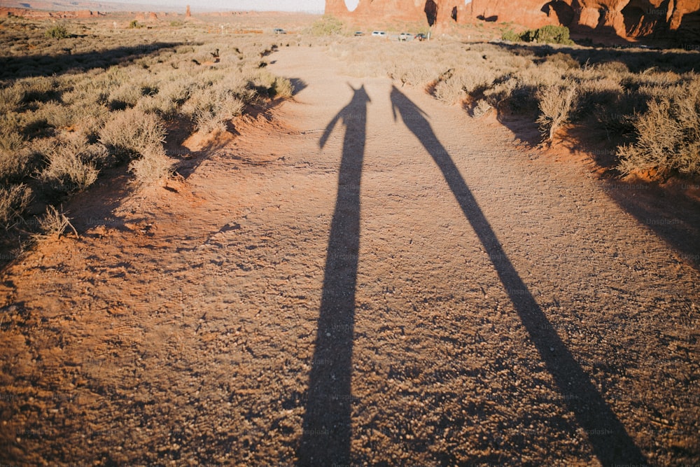 uma sombra de uma pessoa em pé em uma estrada de terra