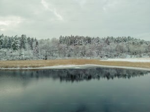un petit lac entouré d’arbres enneigés