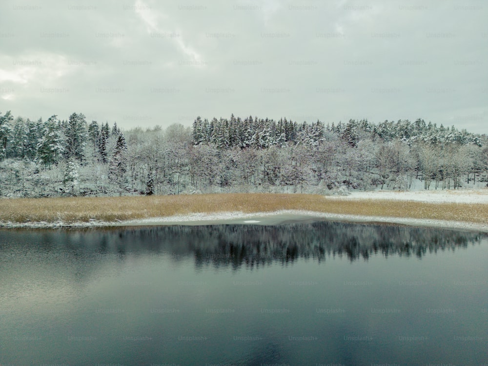 a small lake surrounded by snow covered trees