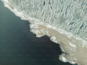 an aerial view of a body of water surrounded by trees