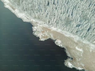 une vue aérienne d’un plan d’eau entouré d’arbres