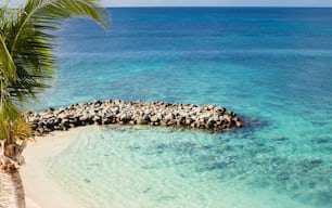 a sandy beach next to a body of water