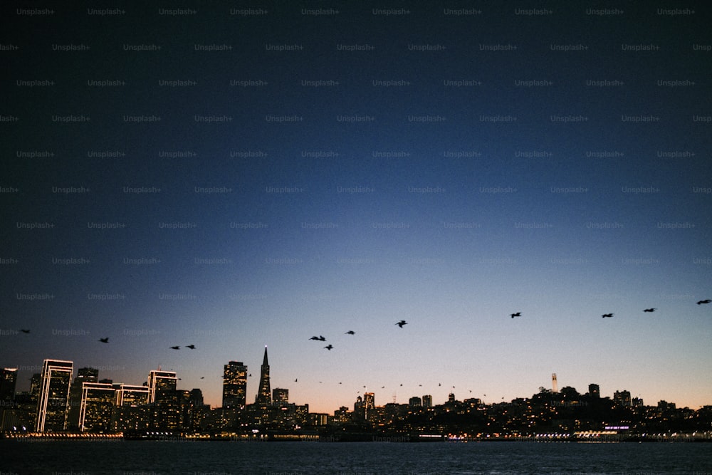a flock of birds flying over a city at night