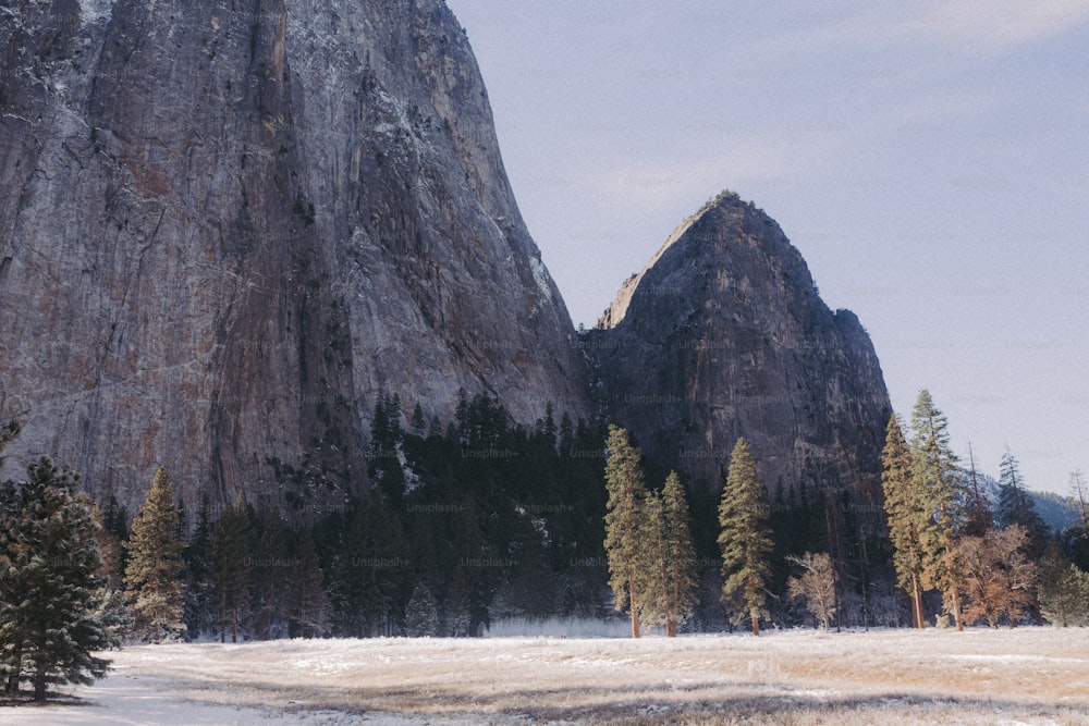 a snow covered field with a mountain in the background