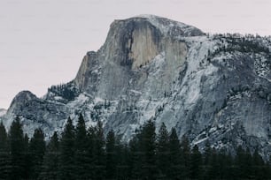 a very tall mountain with some trees in front of it