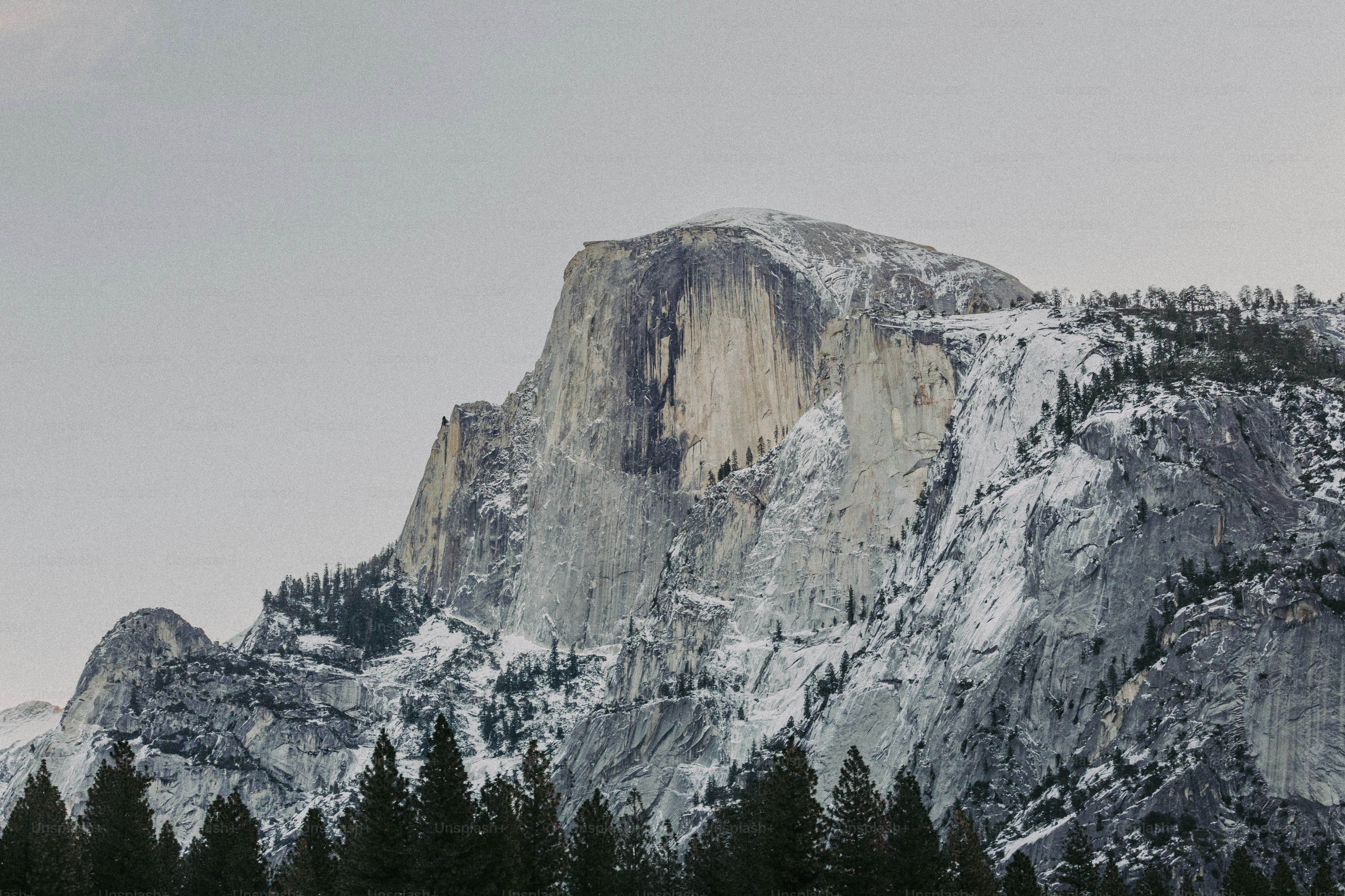 a snow covered mountain with trees in the foreground