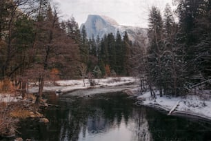 a river surrounded by trees and snow covered ground