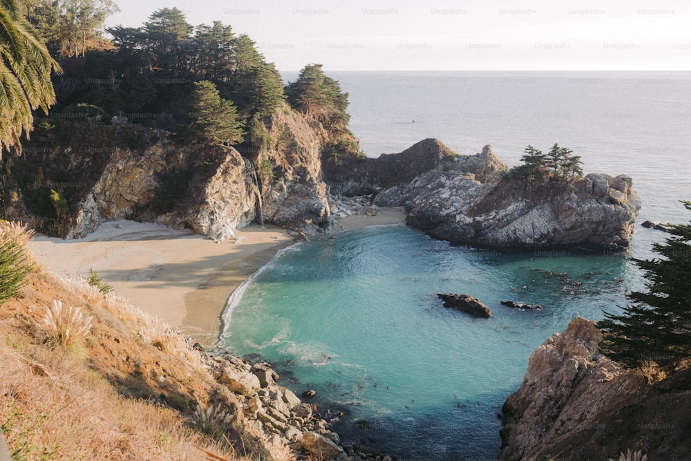 a sandy beach next to the ocean surrounded by trees