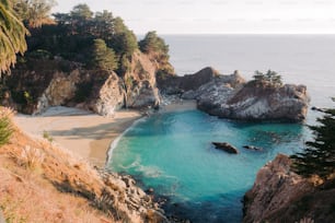 a sandy beach next to the ocean surrounded by trees