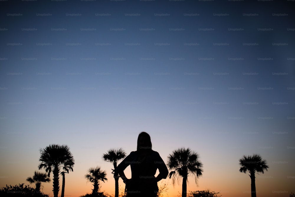 a silhouette of a person standing in front of palm trees