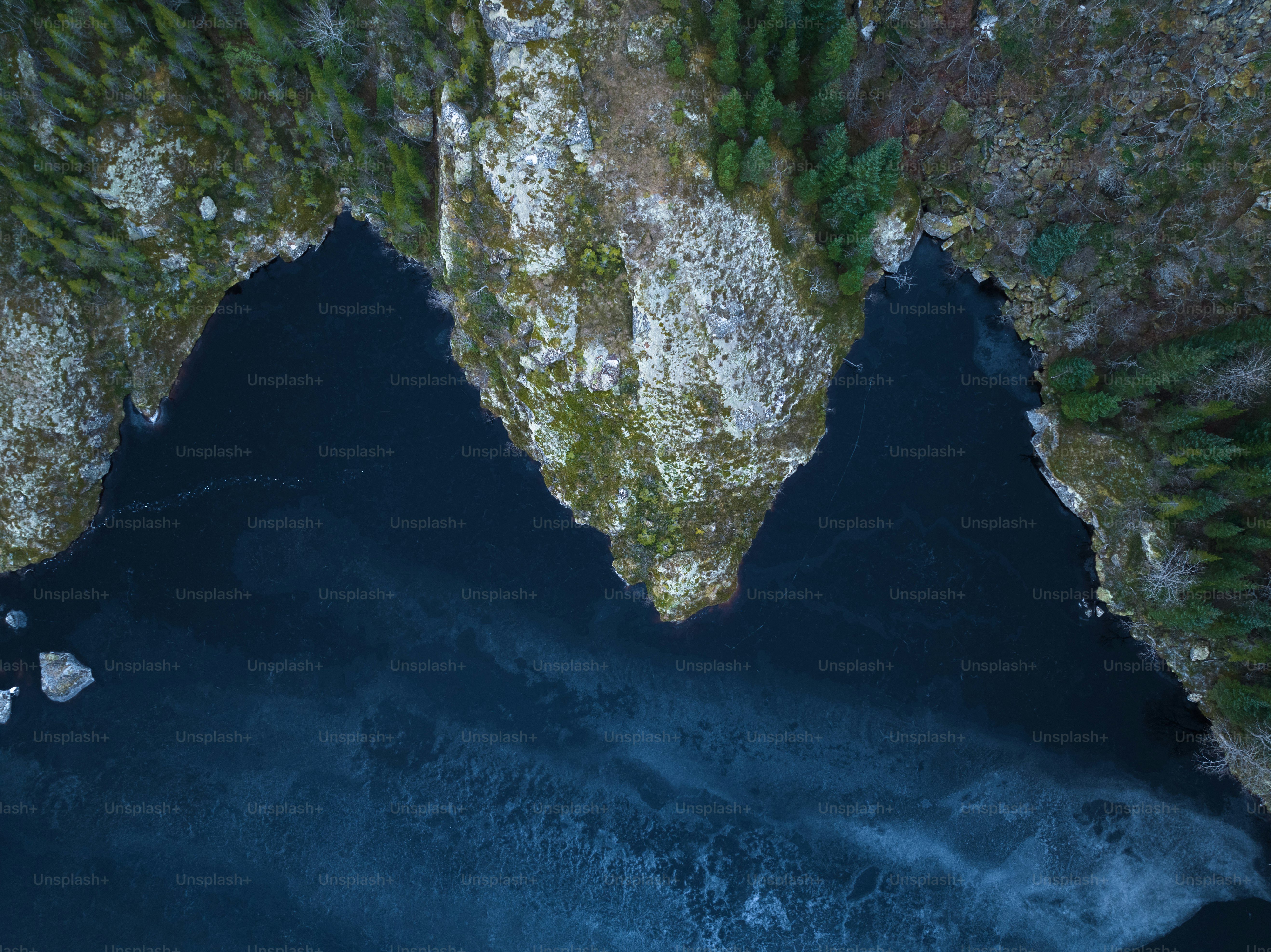 an aerial view of a body of water surrounded by trees