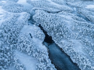 an aerial view of a river surrounded by snow