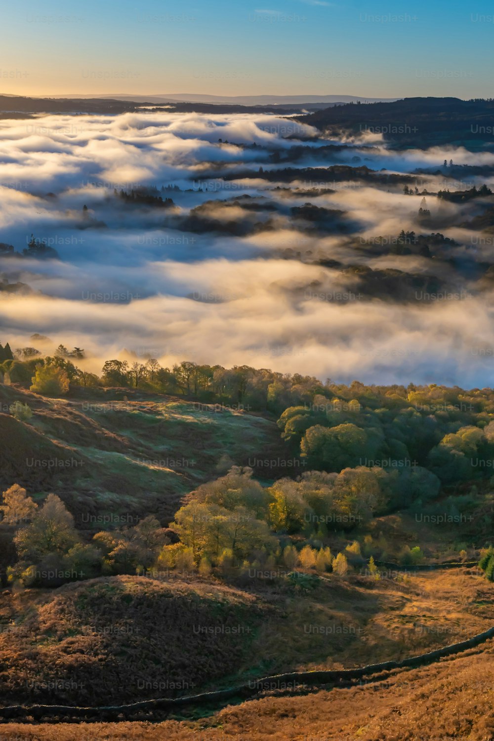 a view of a valley covered in clouds