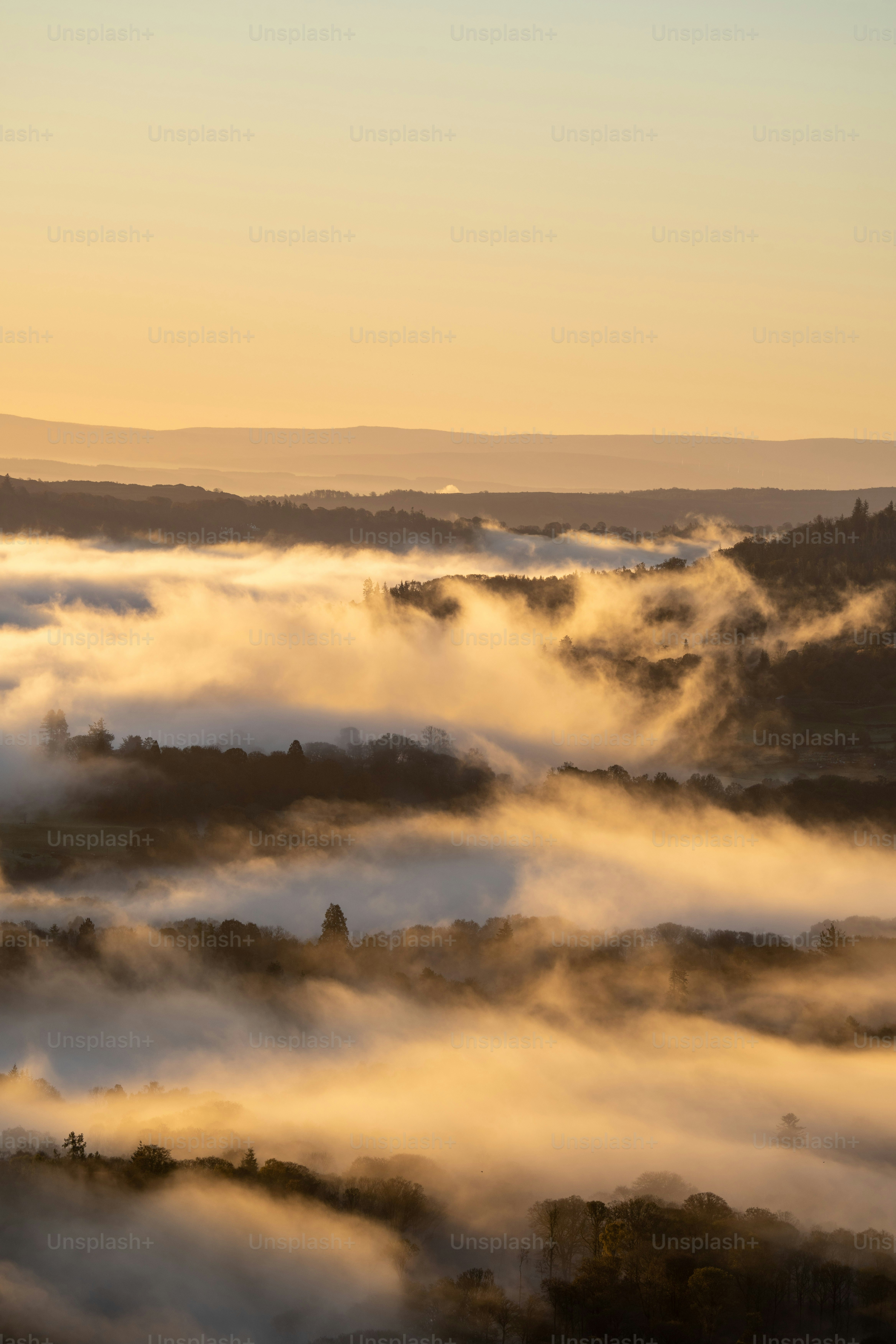 Ein Blick auf ein nebliges Tal mit Bäumen in der Ferne