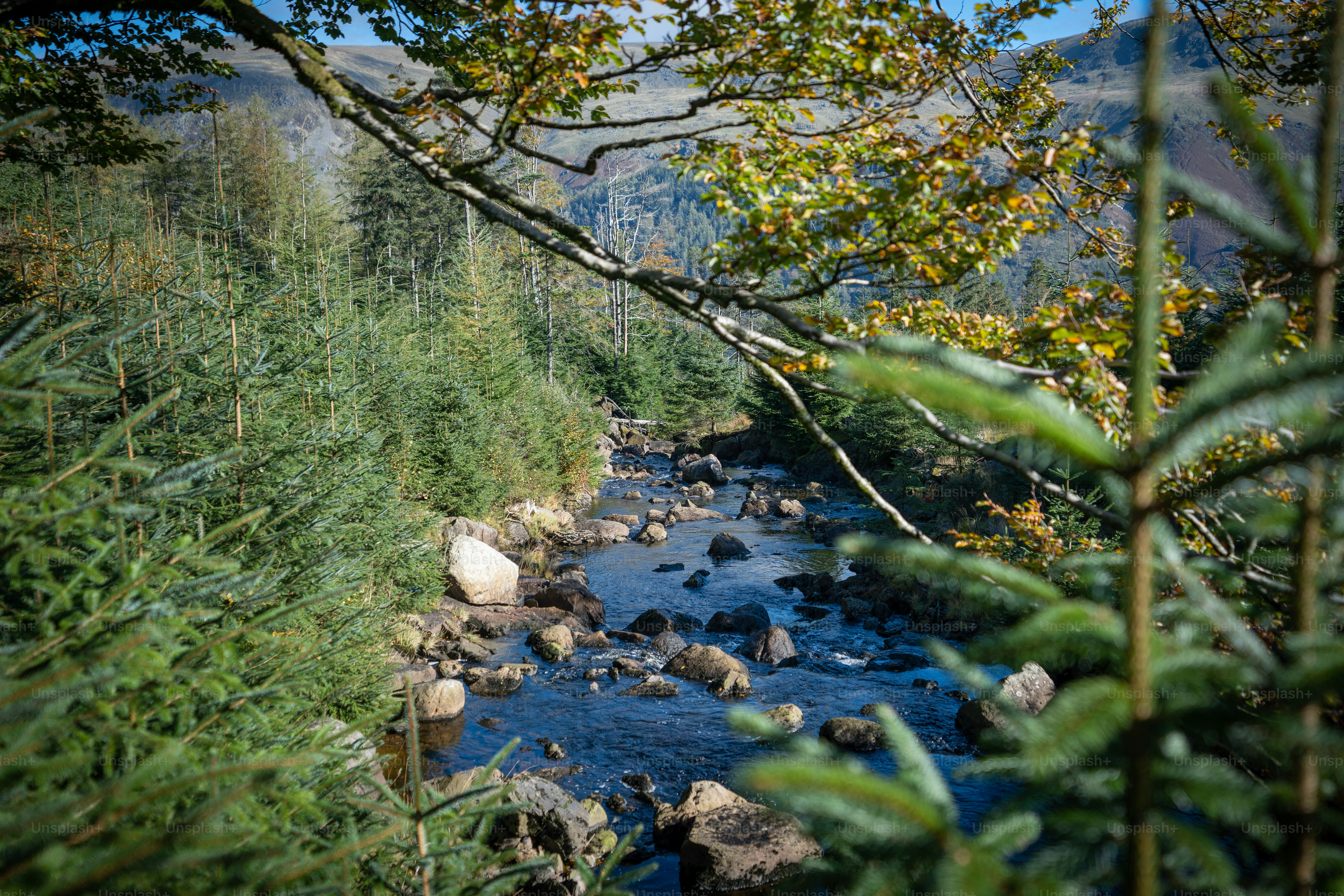 Cameron Corner, Queensland