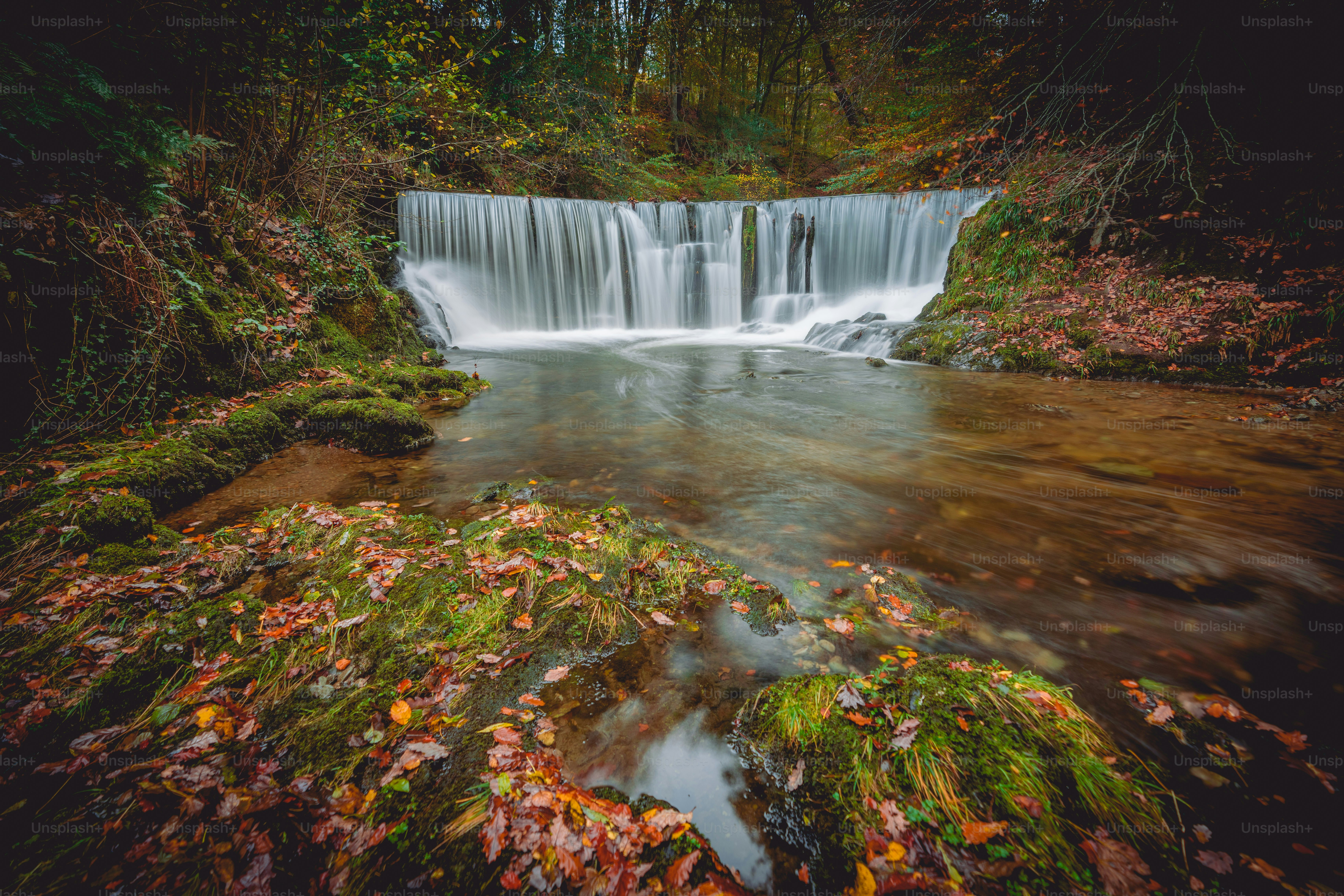Une petite cascade au milieu d’une forêt