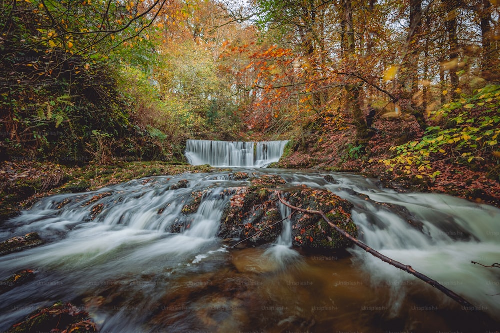 a small waterfall in the middle of a forest