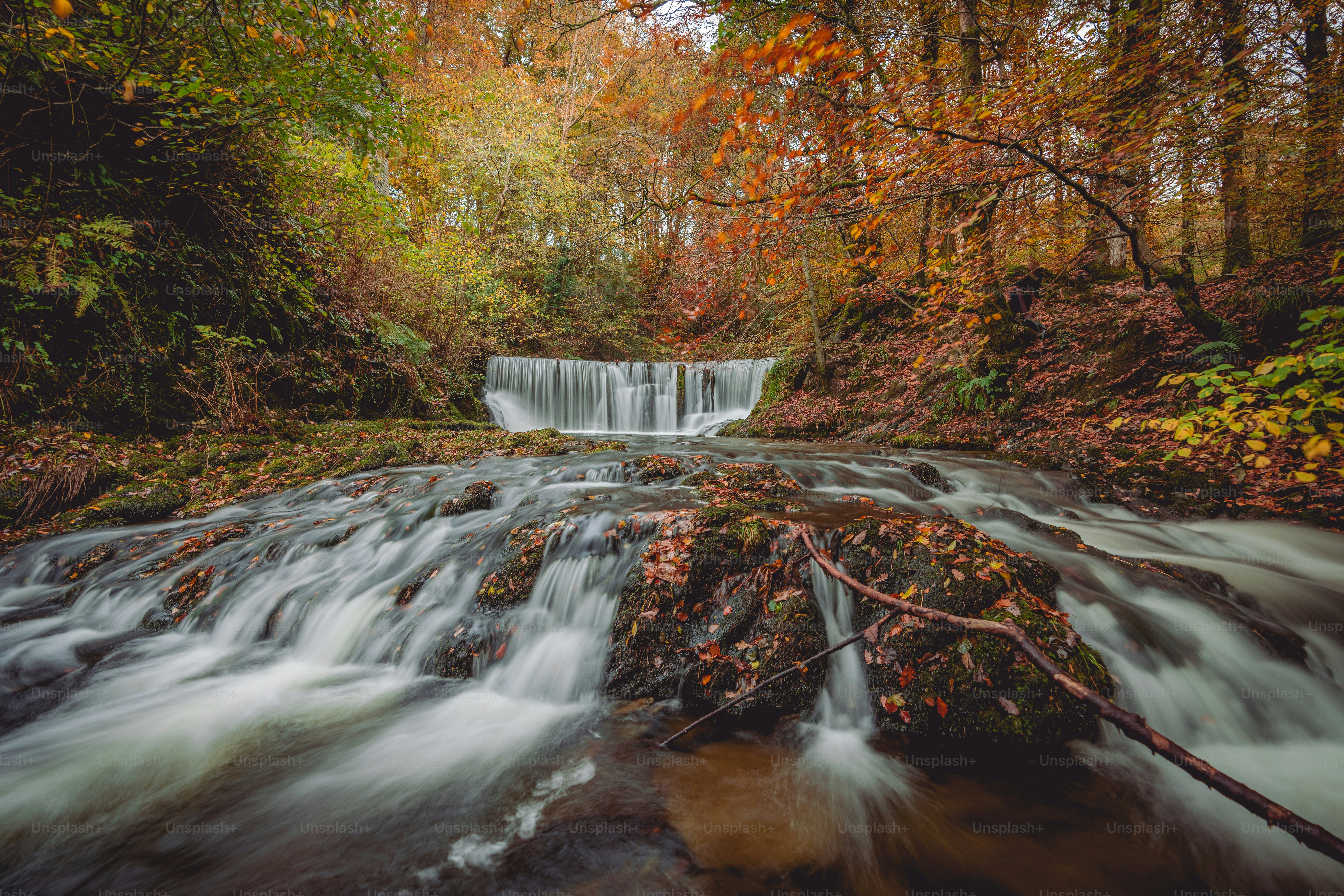 uma pequena cachoeira no meio de uma floresta