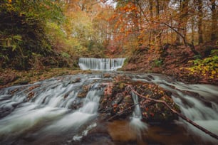 uma pequena cachoeira no meio de uma floresta