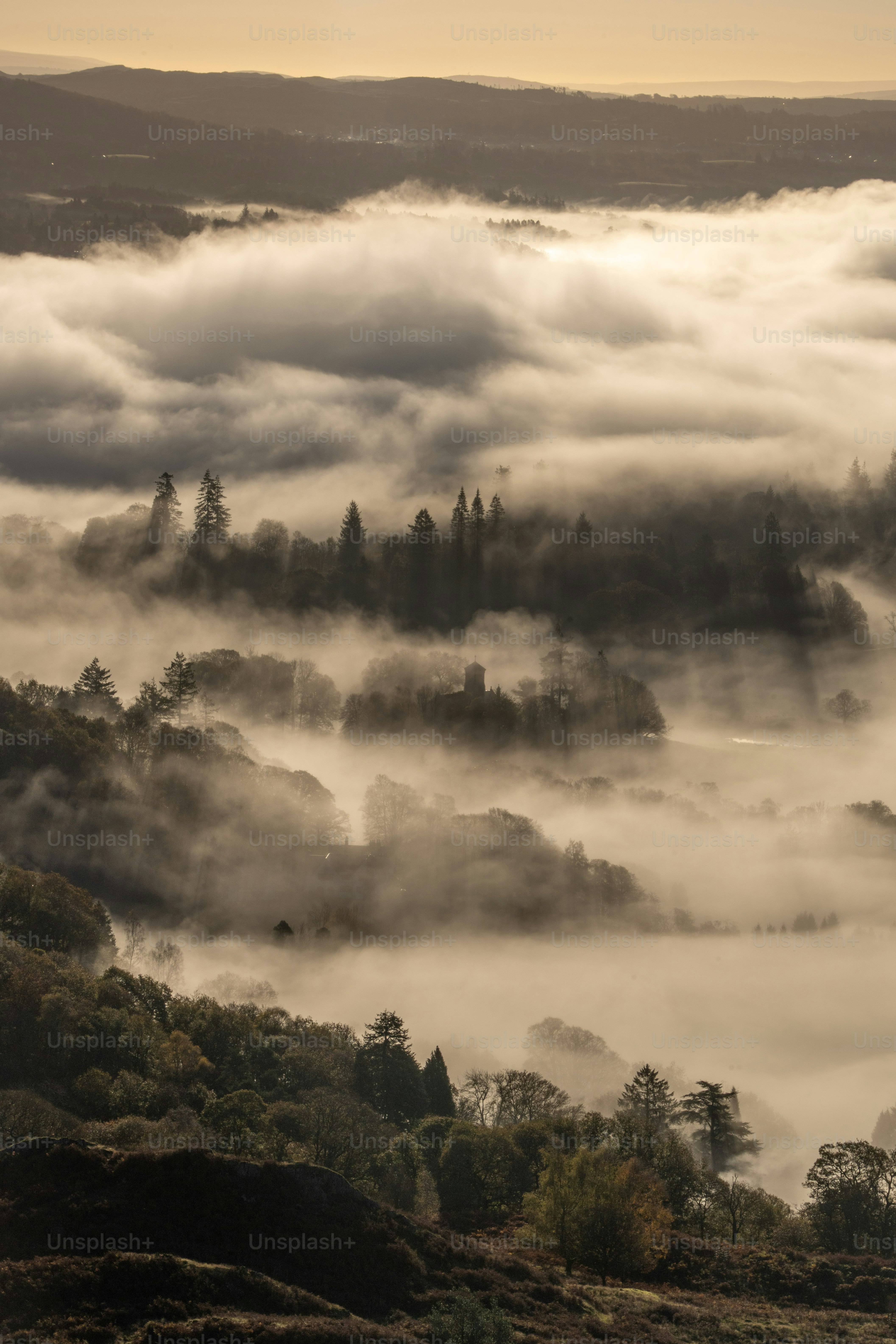 a foggy valley with trees in the distance