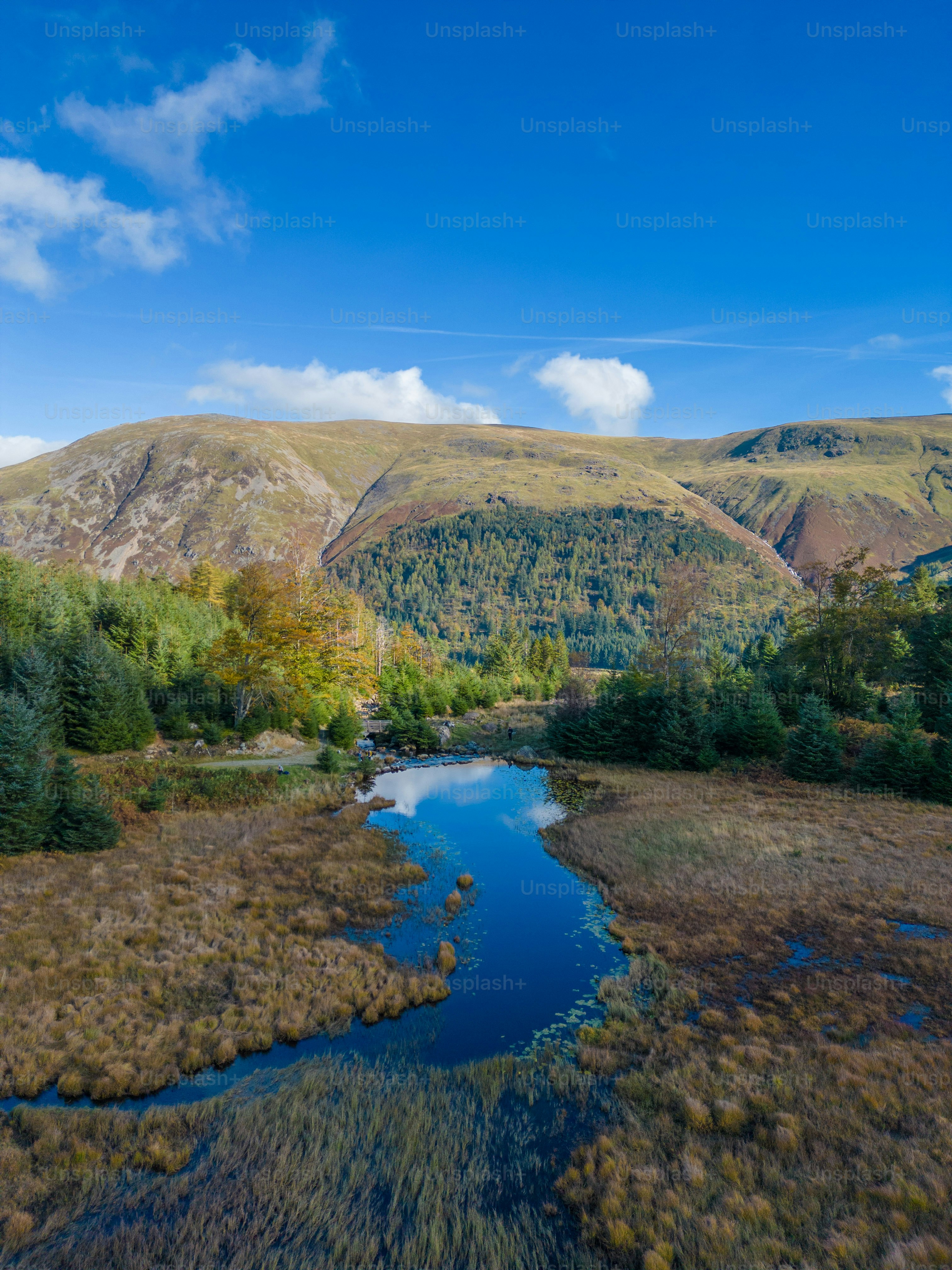 a river running through a lush green valley