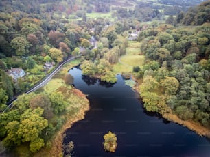 a large body of water surrounded by trees