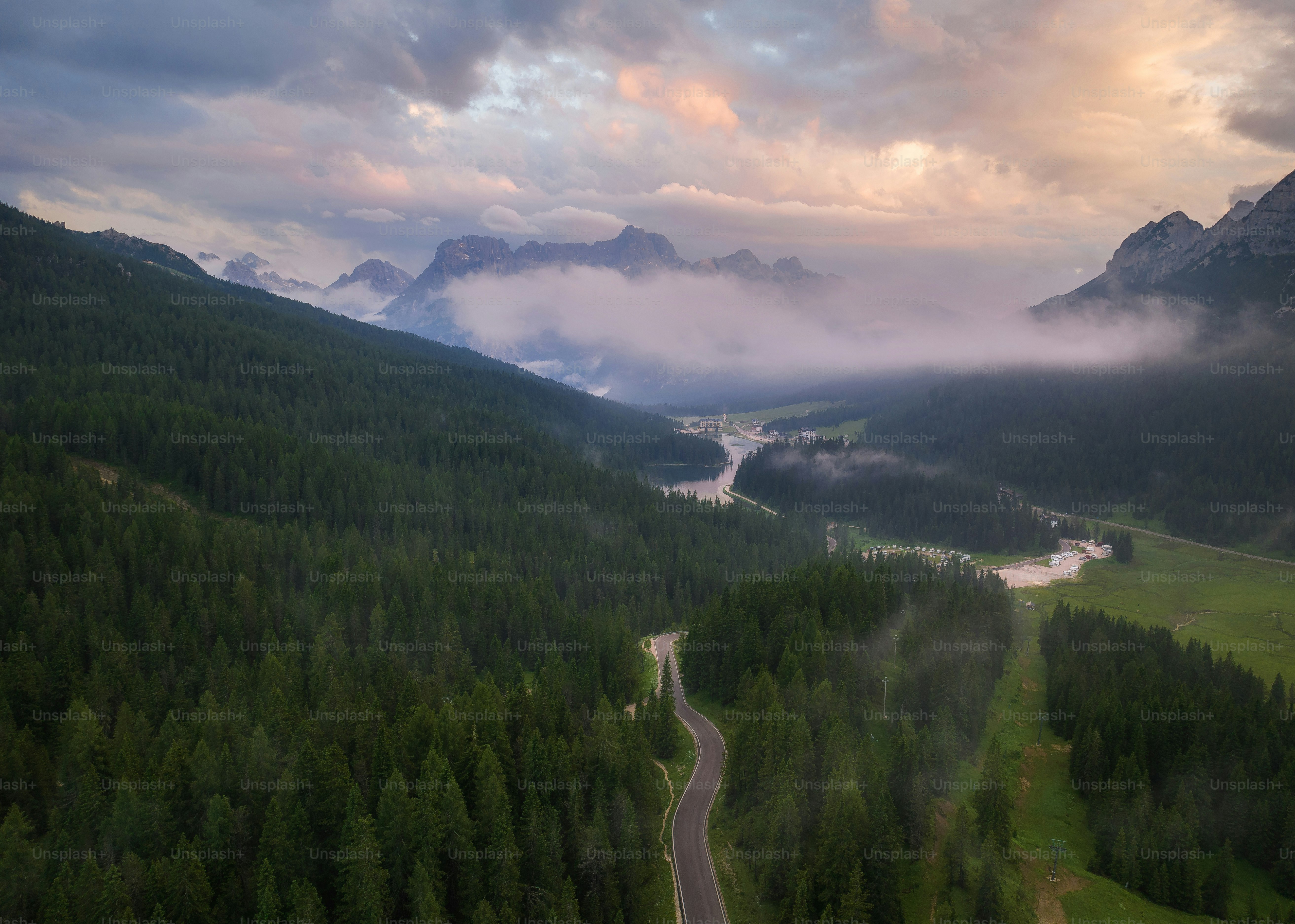 a winding road in the middle of a forest