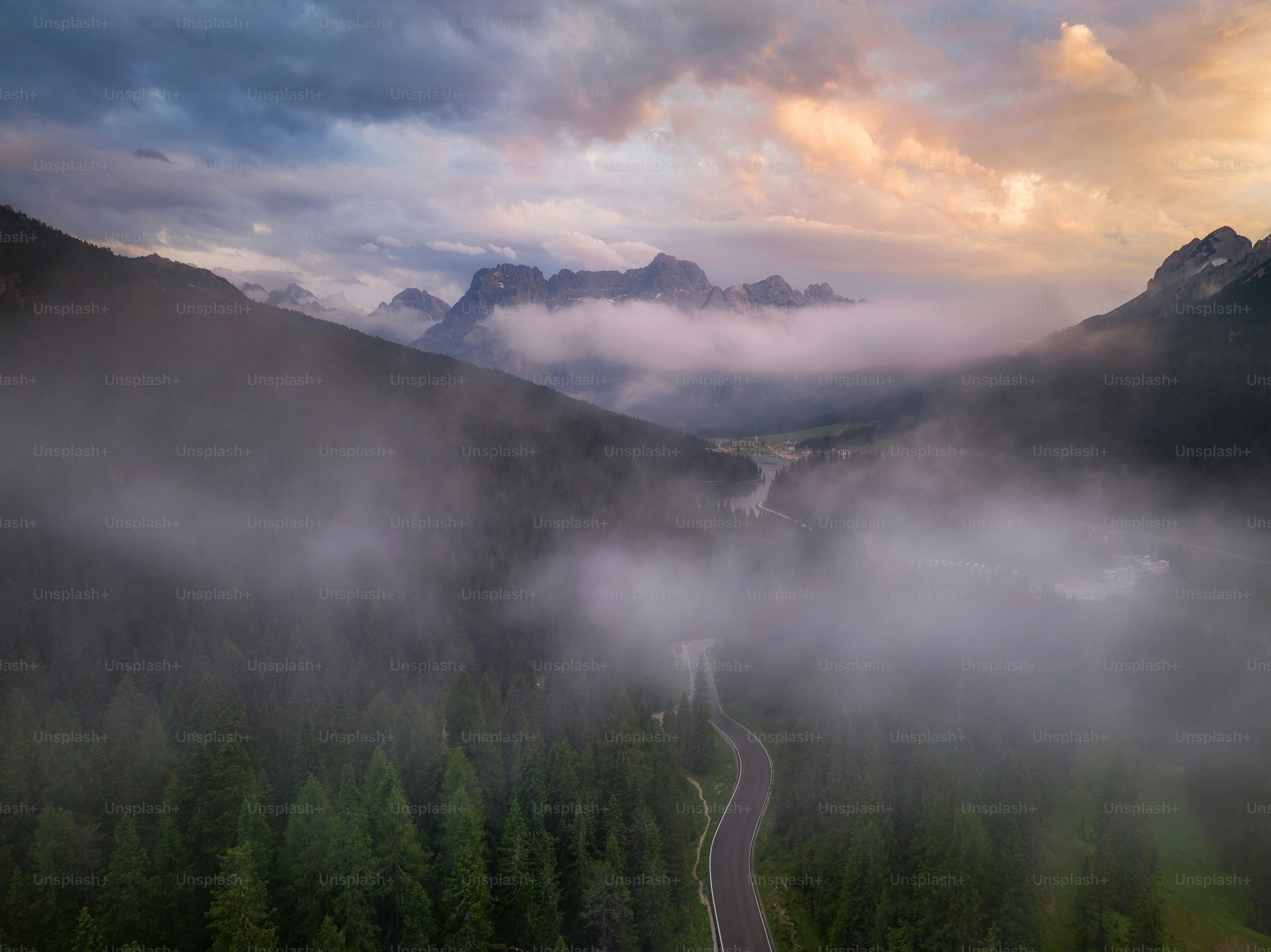 a winding road in the middle of a forest