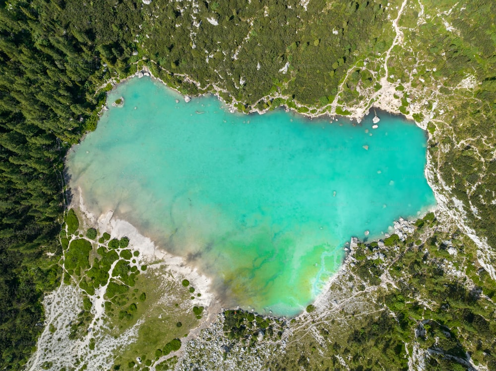 una veduta aerea di un lago circondato da alberi