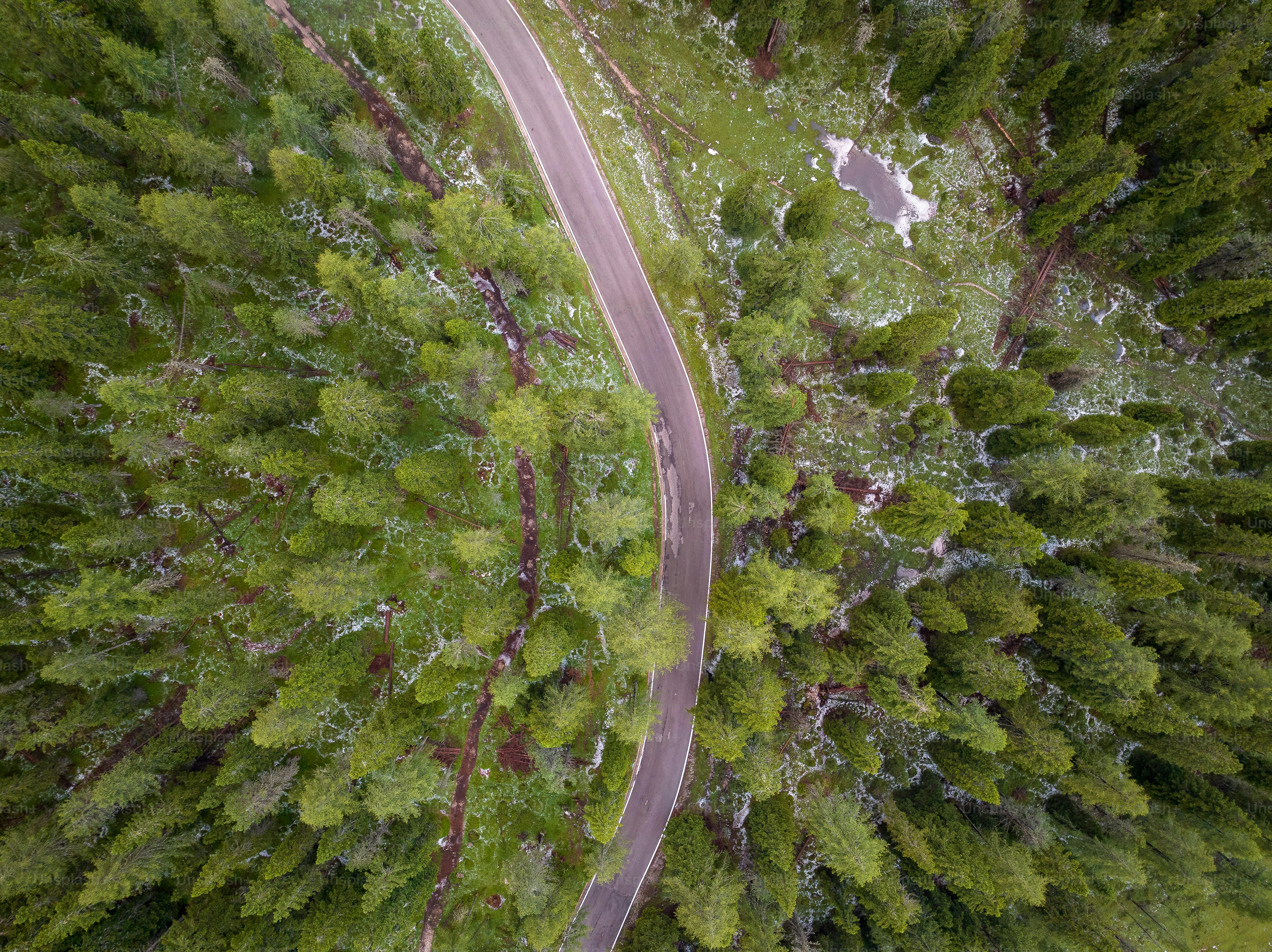 an aerial view of a road through a forest