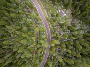 Una vista aérea de una carretera a través de un bosque