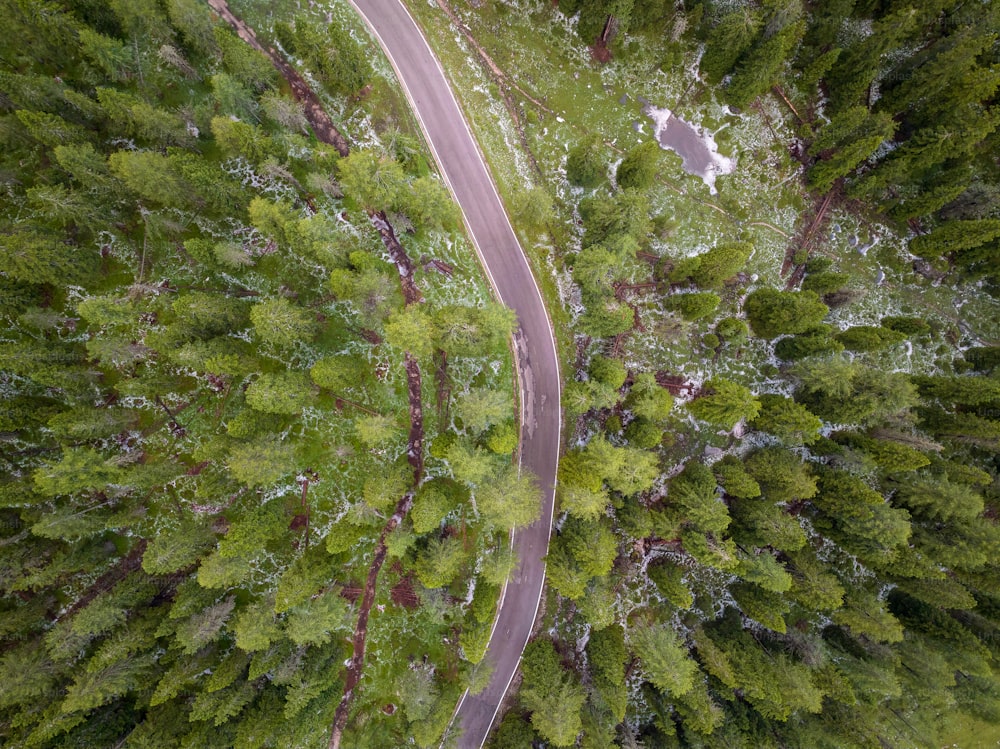 an aerial view of a road through a forest