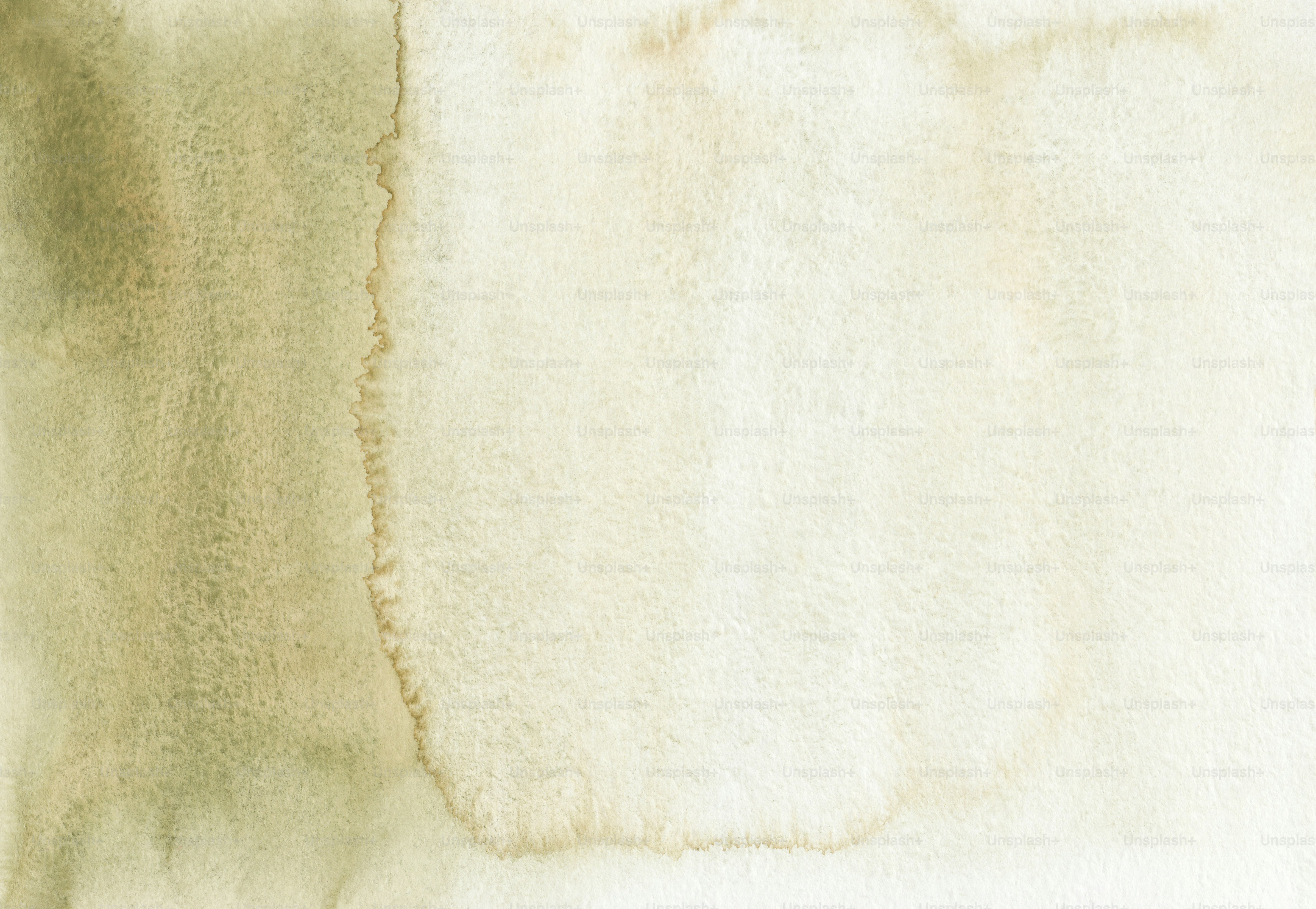 a close up of a white fur texture