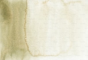 Gros plan d’une texture de fourrure blanche
