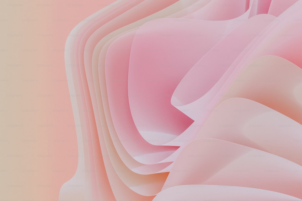 Eine Nahaufnahme einer rosa Blume mit rosa Hintergrund
