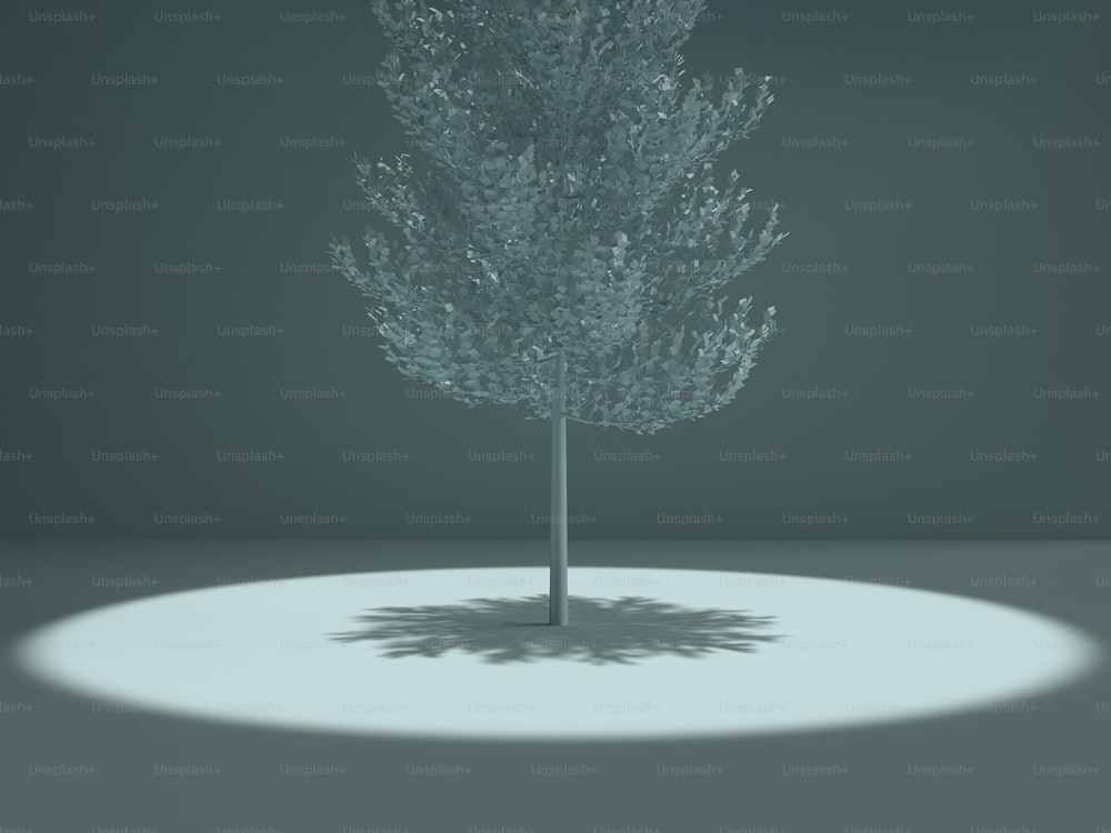a small tree in the middle of a white circle