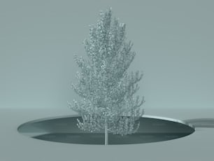 a small white tree in the middle of a circular hole