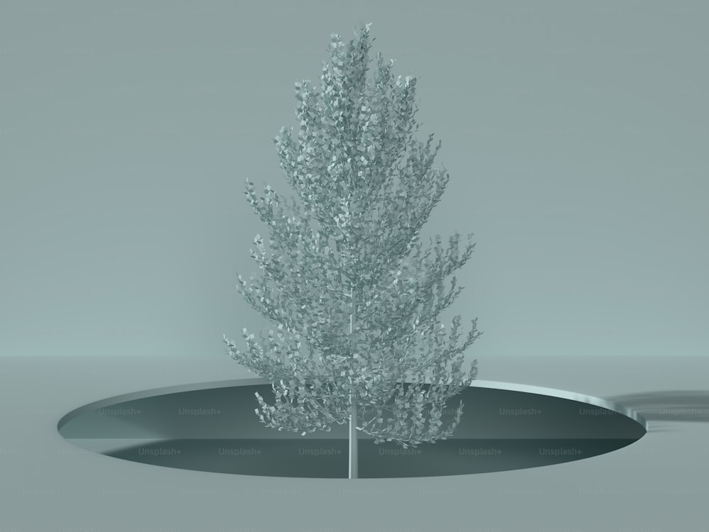 a small white tree in the middle of a circular hole