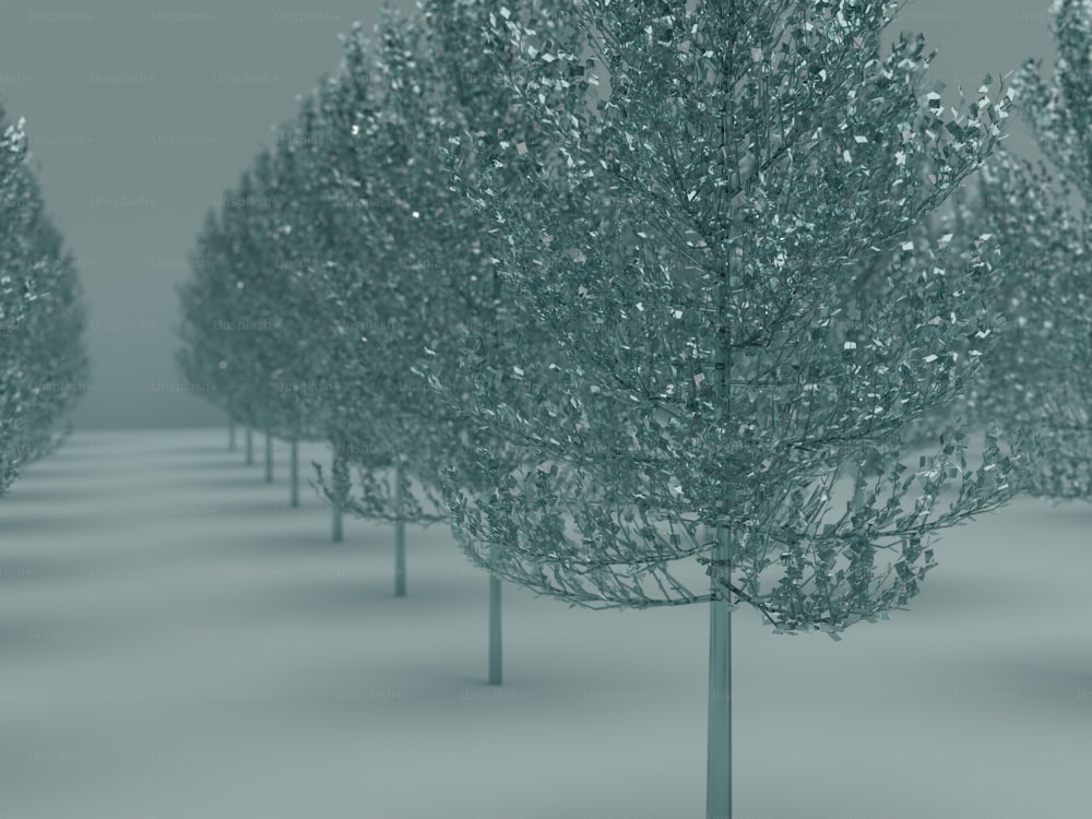 un mazzo di alberi che si ergono nella neve